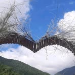 Profile Picture of Steven Jay Dansa (@steven.jay.dansa) on Facebook