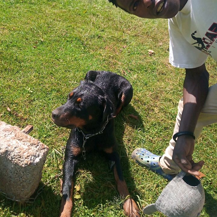 Profile Picture of user9594073463488dav (@davidkarish3) on Tiktok