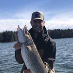 Profile Picture of Aaron Kolquist (@aaron_kolquist) on Instagram
