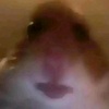 Profile Picture of Dani (@@danielhnasser) on Tiktok