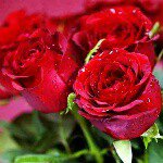 Profile Picture of Yolandapraisingjesus Scott (@yolandapraisingjesus) on Instagram