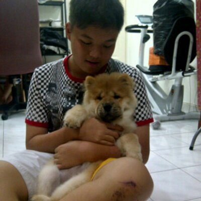 Profile Picture of Adrian Liew (@Adrian_ApplePie) on Twitter
