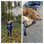 Profile Picture of Hayley Calder (@hayleylouisecalder) on Instagram