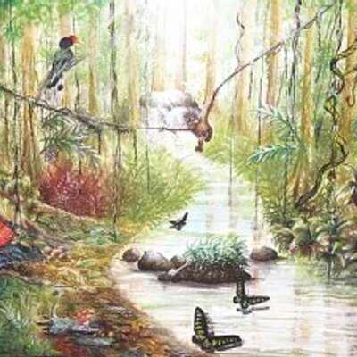 Profile Picture of Koo Peng Shin (@koopengshi_rsrn) on Twitter