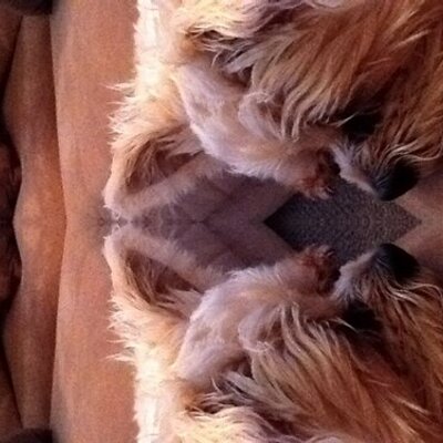 Profile Picture of Kimberly Ramey (@Kramey74) on Twitter