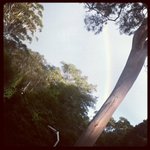 Profile Picture of Brian Mirsch (@brianmirsch) on Instagram