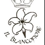 Profile Picture of 