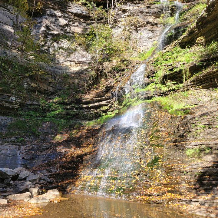 Profile Picture of garrett (@garrettyk0) on Tiktok