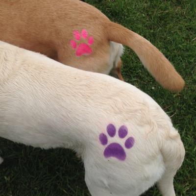 Profile Picture of Kim McCurry (@kmccurryok) on Twitter