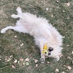 Profile Picture of Marcus Perkins (@marcus__perkins) on Instagram