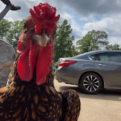 Profile Picture of Matthew Greenlee (@Outdoorheehawmatt) on Youtube