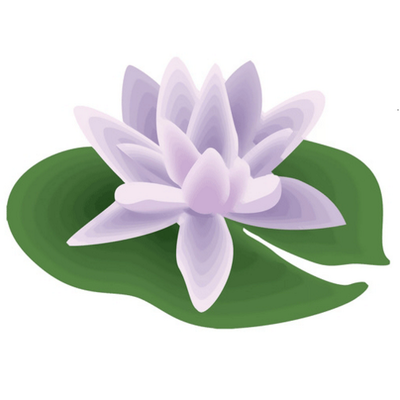 Profile Picture of Dr. Amanda McNabb (@wellspringsavvy) on Twitter