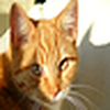 Profile Picture of Ruth Ann Moger (@R.A.M.) on Flickr