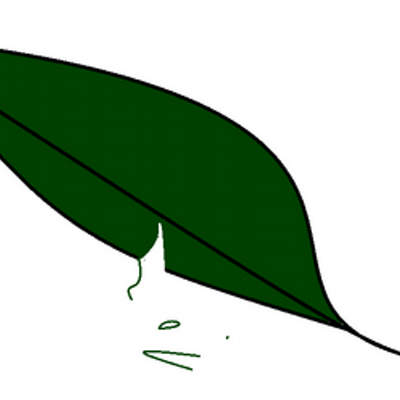 Profile Picture of James Lasher (@smokeygunz) on Twitter