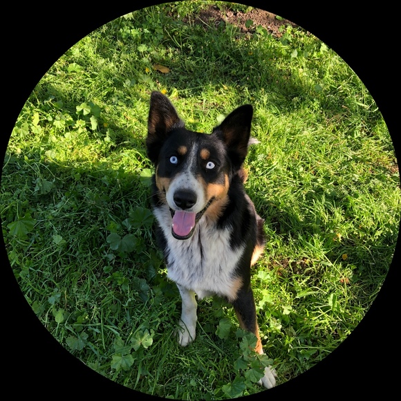 Ricarda Suarez - Poshmark Profile Picture of Ricarda Suarez (@ricardasuarez) on Poshmark