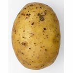 Profile Picture of Peter Dutton (@peterdutton_69) on Instagram