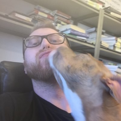 Profile Picture of Tony Rohr (@thetigerpony) on Twitter