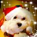 Profile Picture of Carol Doane Baker (Doane) (@carol.d.baker.1) on Facebook