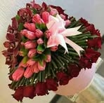 Janat Ayeman - Facebook Profile Picture of Janat Ayeman (@Janat-Ayeman) on Facebook