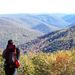 Profile Picture of Peter Jarrett (@prjarrett6) on Pinterest
