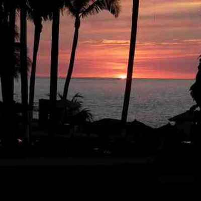 Profile Picture of Stable Genius Sam (@sam1_james) on Twitter