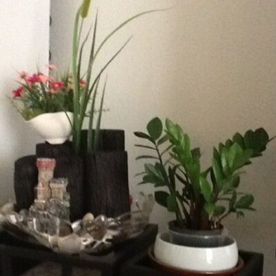 Profile Picture of Jay Ogata (@JayOgata) on Twitter