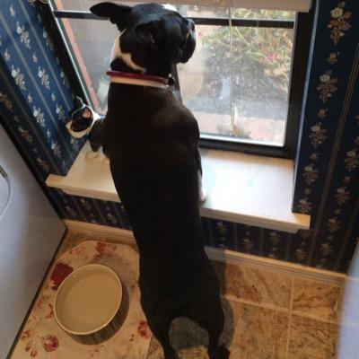 Profile Picture of Sheridan Power (@sheripower) on Twitter