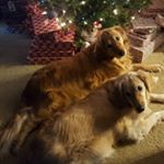 Profile Picture of Caleb Remington (@remingtoncaleb) on Instagram