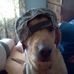 Profile Picture of Timothy Mcvicker (@Timothy-Mcvicker) on Facebook