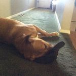 Jason Doody - Instagram Profile Picture of Jason Doody (@doodyjason) on Instagram