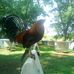 Profile Picture of Manuel Padron (@manuel.padron.3591) on Facebook