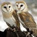 Profile Picture of Alex Paulsen (@alexpaulsen014) on Pinterest