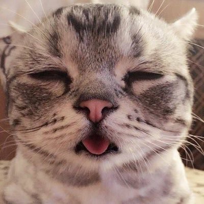 Profile Picture of Jan Huynh (@jan_huynh1401) on Twitter