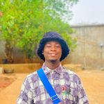 Profile Picture of Steve Bily (@uchesteve7) on Instagram