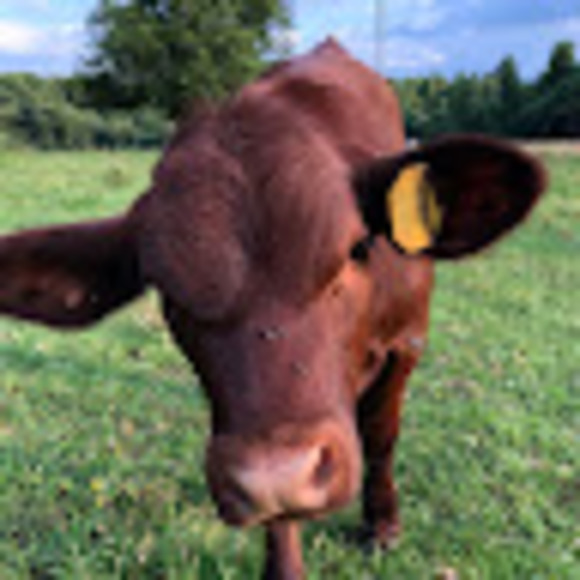 Profile Picture of Jonna Nance (@jonnanance) on Poshmark