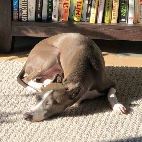 Profile Picture of Matthew Markovich (@mjm5223) on Poshmark