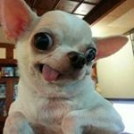 Profile Picture of Trejo Jean Brandon🔥 (@jbtrejos97) on Instagram