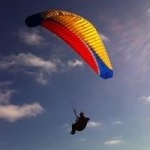 Profile Picture of Steven Weisz (@sww0001) on Instagram