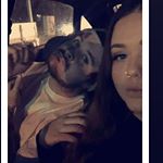 Profile Picture of Andrew Lai Stephenson (@andrew_stephenson23) on Instagram