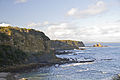 Profile Picture of Bunurong Marine National Parkon Wikipedia