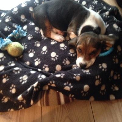 Profile Picture of Julia McBride ♜ (@l_juliamcbride) on Twitter