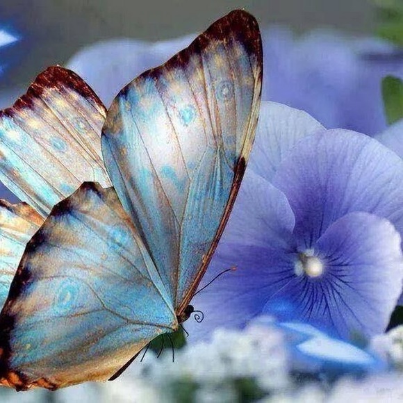 Profile Picture of Reva Edwards (@revaedwards87) on Poshmark