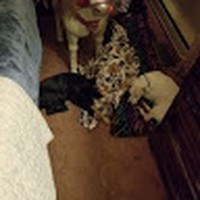 Profile Picture of Amelia Maxwell (@amelia-maxwell-16) on Quora
