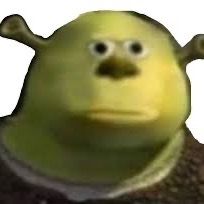 Profile Picture of jarrod.peterman (@sh4gg4durmum) on Tiktok