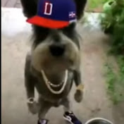 Profile Picture of Jonathan Corrales (@jonathancorrales7861) on Youtube