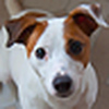 Profile Picture of Marc Dove (@Marc Dove) on Flickr