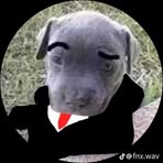 Profile Picture of Isaac Jurado Duran (@isaac.jurado.duran) on Facebook