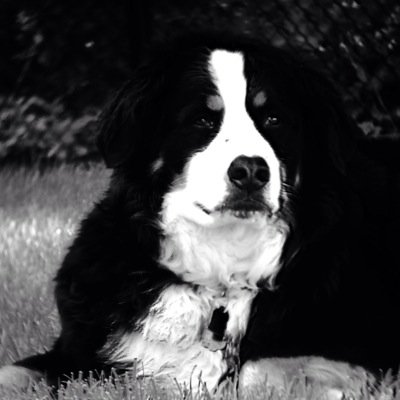 Profile Picture of Chris Athanas (@athanas_chris) on Twitter