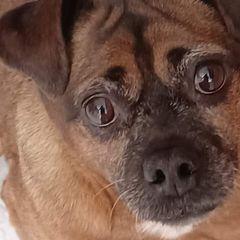 Profile Picture of Kim Tru (@kimtru) on Tiktok