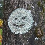 Profile Picture of Mark Kolesar (@markinthemoment) on Instagram